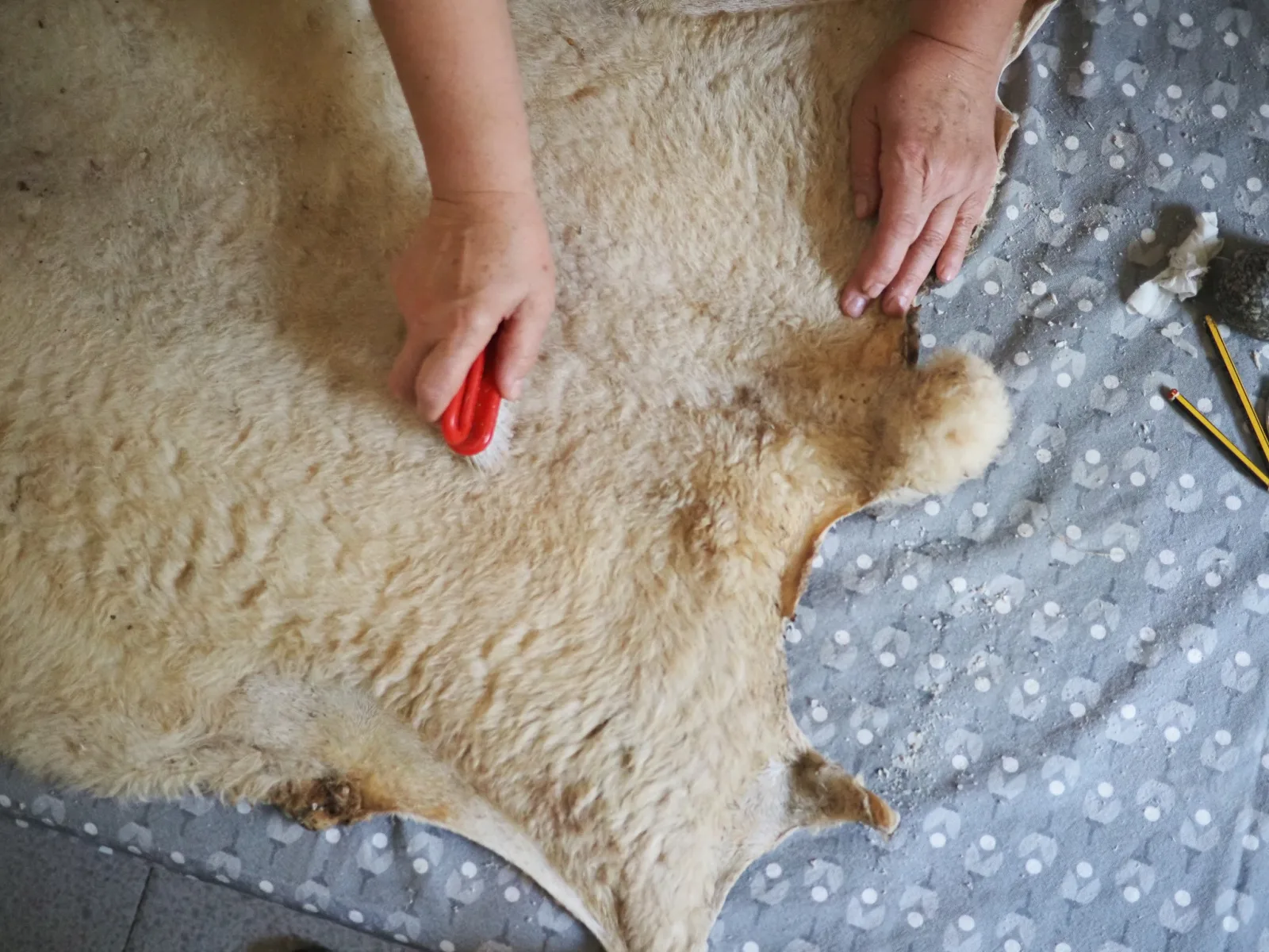 Fotografía real de una mano limpiando la lana con un cepillo rojo